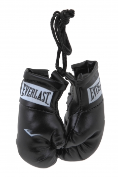 картинка Брелок Everlast Mini Boxing Glove In Pairs от магазина Everlast в России