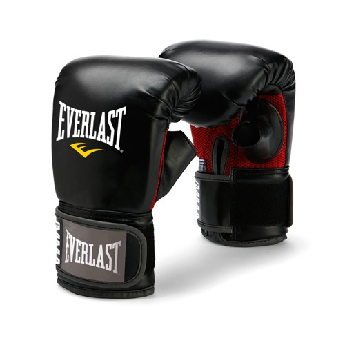 картинка Перчатки снарядные Martial Arts PU от магазина Everlast в России