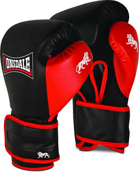 картинка Перчатки тренировочные Lonsdale Haydock от магазина Everlast в России