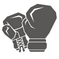 БОЕВЫЕ ПЕРЧАТКИ LONSDALE БОЕВЫЕ ПЕРЧАТКИ LONSDALE